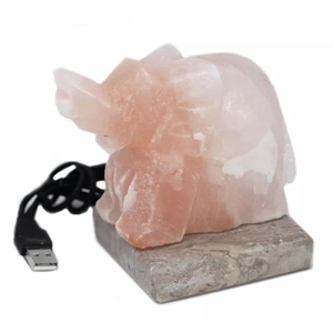 Customized 2025 Himalayan Pink Salt Lamp High Quality Mini USB Natural Shape Home Decor Polished Carved Technique OEM Feng Shui - Product Image 1