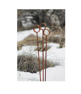 Piquets de jardin en fer finition vintage pour la décoration de la cour, supports de plantes en métal résistants aux intempéries, accessoires de jardin durables - Product Image 4