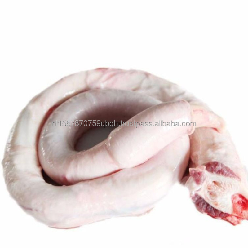 High Quality Processing Frozen Beef Pizzle (Penis) Organic Fresh Beef Penis 20Kg Box Fresh Frozen Beef Pizzle Cheap Price