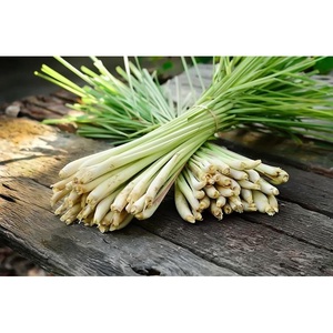 LEMONGRASS ESSENTIAL <b>OIL</b> VIETNAM | 1000ML BULK <b>BOTTLE</b> FOR AROMA & PERSONAL CARE - Product Image 3