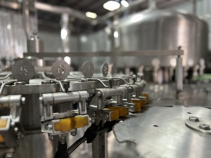 Machine de remplissage de 150 bouteilles par minute - Product Image 3