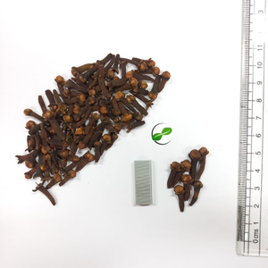 AD Dried Cloves Whole Raw Spices From Indonesia Sulawesi Island Natural Single Herb Spice 100% Pure Sample Available - Product Image 2