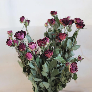 Élégantes fleurs de roses rouges séchées pour la décoration d'événements, l'art en résine et les créations en papier – Vente en gros pour les marchés internationaux - Product Image 1