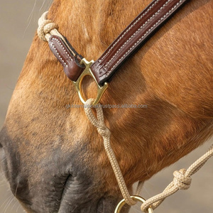 Produits équestres en gros : Haltères en cuir pour chevaux, haltères en corde fine et durables, fabricant de haltères de haute qualité pour chevaux - Product Image 3