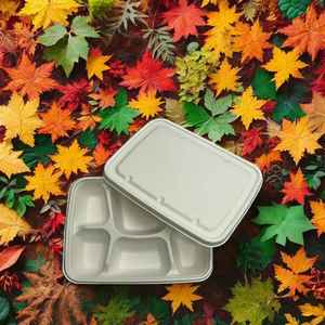 จานอาหารทรงสี่เหลี่ยมแบบใช้แล้วทิ้ง16ก. เคลือบด้านวัสดุเยื่อกระดาษลายนูนปรับแต่งได้สำหรับงานจัดเลี้ยงก๋วยเตี๋ยว - Product Image 5