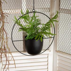 Ensemble de 2 suspentes à plantes ovales noires en métal avec pots de fleurs de 6 pouces, supports modernes pour plantes murales et de plafond - Product Image 5