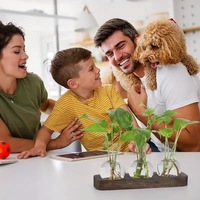Station de propagation de plantes en verre pour bureau avec support en bois, ensemble de vases hydroponiques pour boutures de plantes d'intérieur, décoration intérieure