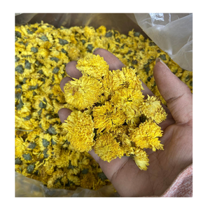 Fleurs de camomille séchées du Vietnam pour la préparation de tisanes, infusion naturelle de fleurs, fournisseur en gros pour importateurs et détaillants - Product Image 3
