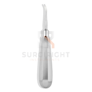 Bandes Matrix Junior Tofflemeyer Broad pour Restaurations Dentaires Certifiées CE Classe I Norme de Sécurité MOL Garantie 1 An Chirurgical - Product Image 6