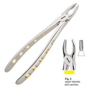 Pinzas Manuales Dentales Reutilizables de Acero Inoxidable, Patrón Inglés para Dientes Superiores Laterales y Caninos, Shuja Surgico - Product Image 2