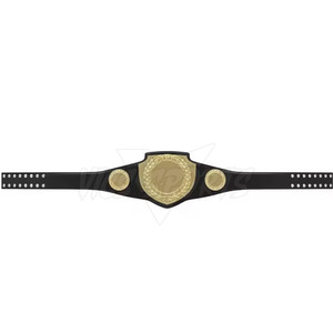Cinturón de Campeonato Hecho a Medida, Nuevo y en Oferta, Diseño de Peso Pesado - Product Image 3