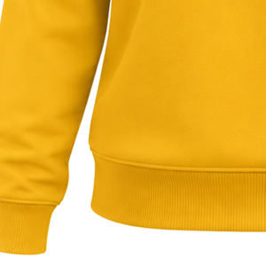 Gold Women Crew Neck Sweatshirt Greek Letter 1922 Graphic <b>Long</b> <b>Sleeve</b> Casual Pullover <b>Top</b> with White <b>Blue</b> <b>Sleeve</b> Stripes - Product Image 5