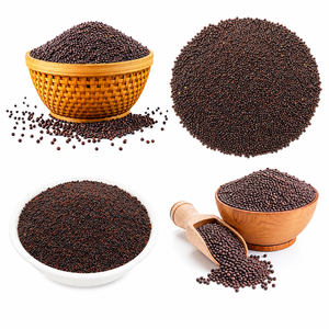 Graines de moutarde Aqua Vriksha Premium |   Graines de moutarde indiennes entières naturelles pour la cuisine, les cornichons et les mélanges d'épices - Product Image 6