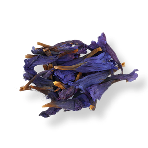 Fleur de Bourrache (Gaozaban)/Borago officinalis - Product Image 3