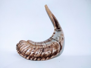 Shofar de Cuerno de Carnero Natural Pulido Ecológico al por Mayor para Venta por Curio Craft - Decoración de Bodas y Coleccionable de Arte - Product Image 6
