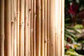 Bambou de jardin professionnel, économique, écologique, naturel, traité à sec, robuste et durable - Product Image 6