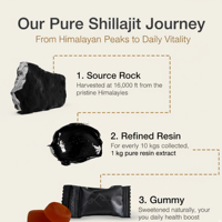 Nouveauté 2026 : Gommes de Shilajit, Aliment Pur et Naturel pour la Santé, Vente Chaude, Provenant d'un Exportateur Indien à un Prix Compétitif