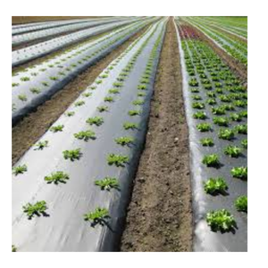 Film de paillage plastique durable pour jardin, film de paillage agricole pour serre, tapis anti-mauvaises herbes, polyfilms résistants aux UV - Product Image 1