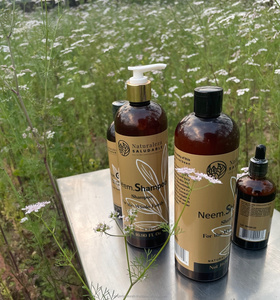 Professional OEM/ODM Soapberry Clear <b>Shampoo</b> From India - Product Image 3