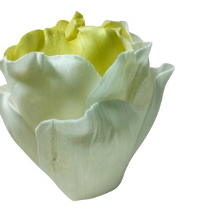 VADEE SOLA WOOD FLOWER SET 02 Diffuseur Lotus Océanique 6.5CM Couleur Jaune Doux Bâtonnets en Fibre de Plante de Sesbania Aromathérapie Faits à la Main - Product Image 6