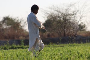 Fertilizante de Urea 46% Nitrógeno Granular a Granel para Uso Agrícola al Mejor Precio - Product Image 6