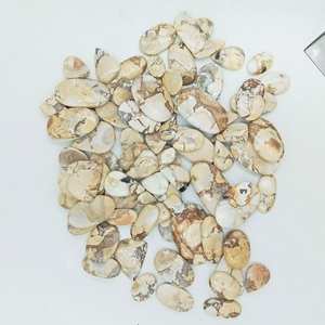 Cabujones de Jaspe Maligano Natural Multicolor, Formas Mixtas, Gemas Sueltas Pulimentadas para Fabricación de Joyería, Venta al por Mayor - Product Image 2