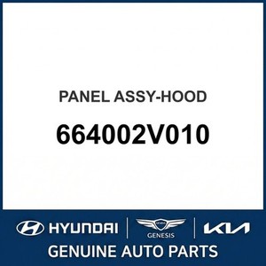 Nouveaux panneaux de capot Veloster 664002V010 - Product Image 1