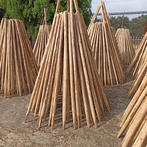 Solid Wood <b>Poles</b> & Stakes-Eco-Friendly Security Fence <b>for</b> Agriculture Field Customized Color Vietnam Origin - Product Image 4