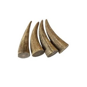 Cuernos de Búfalo Naturales de Alta Demanda para Decoración del Hogar, Estilo Animal Pulido de Alta Calidad - Product Image 4