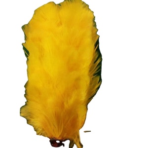 Custom Made Yellow Hackle Plume para sombreros Patrón teñido - Product Image 1