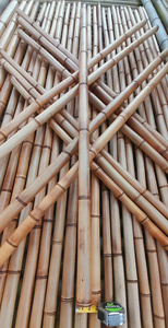 Varas de Bambú Tratadas de Alta Calidad, Estacas de Bambú Duraderas para Agricultura - Product Image 6