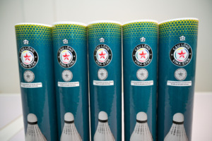 Volants de badminton professionnels Vina-Star en plumes d'oie, niveau tournoi, légers, stables, haute durabilité, lot de 12 - Product Image 4