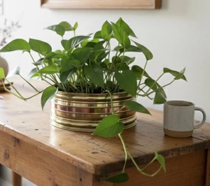 Best quality Latest Design Brass Flower Pot Indoor Golden finish Metal <b>Planters</b> hand made <b>Large</b> Outdoor Printing <b>Planters</b> - Product Image 1