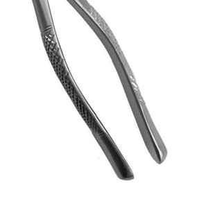 Forceps d'extraction dentaire manuels en acier inoxydable pour usage chirurgical et orthodontique, qualité A+, à vendre - Product Image 3