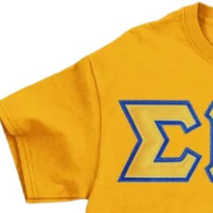 T-shirt brodé avec applique Sigma Gamma Rho, lettres grecques personnalisées, tee-shirt de sororité à manches courtes, col rond, doré - Product Image 3