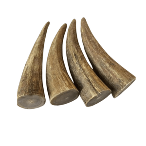 Customized Buffalo <b>Decorative</b> Horn Raw Animal Horns India Supplier Home <b>Decor</b> item 2 Pieces Horn <b>Decor</b> - Product Image 2