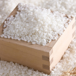 ข้าวเมล็ดสั้นคุณภาพพรีเมียม ขายส่งราคาพิเศษ พร้อมส่งออกทั่วโลก - Product Image 1