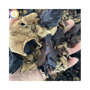 Hongos Oreja de Pana Negros Secos de Calidad de Exportación, Proveedor Certificado ISO, Origen Vietnam - Product Image 1