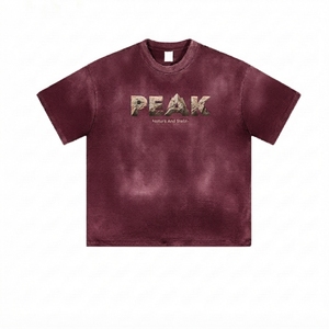 T-shirt vintage unisexe en coton épais, coupe classique, délavé à l'acide, imprimé sérigraphié, streetwear personnalisé, écoresponsable, OEM ODM - Product Image 2