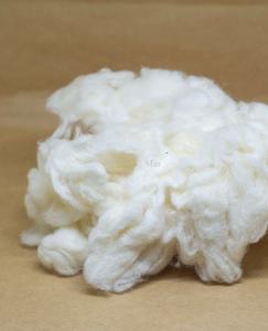 Coton peigné blanchi de qualité supérieure provenant d'un moulin textile, fil 100 % coton pour le filage et le matériau de rembourrage - Florence - Product Image 1