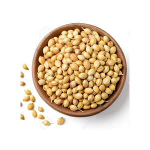 Semillas de Cilantro Enteras y Partidas, Paquete de 100 kg, Crudas, Vida Útil de 2 Años - Product Image 1