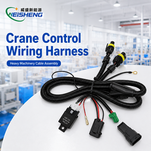 Rangkaian Kabel Kontrol Crane Khusus, Kabel Relay Sensor Tugas Berat, Perakitan OEM - Product Image 1