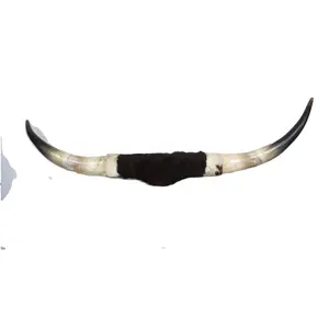 Antike Büffel dekorative Horn maßge schneiderte Größe andere dekorieren Haus und Geschirr dekorative Horn für die Wand für den heißen Verkauf