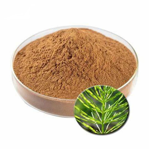 Polvo de Hoja de Caballo Premium, Polvo Herbal Natural de Caballo para Cabello, Piel y Uñas, Alto Contenido de Sílice para Promover la Fuerza - Product Image 4