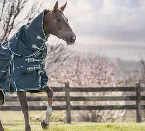 Couverture d'extérieur pour cheval en forme de U, respirante, légère, 1200D, pour dressage, avec col détachable, pour toutes les saisons, confort et protection - Product Image 2