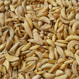 Ajo Deshidratado en Hojuelas, Ajo Seco Naturalmente para un Sabor Fresco en la Cocina, Condimento, Exportación a Granel desde India a Bajo Precio - Product Image 2