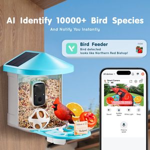 Mangiatoia per Uccelli Intelligente a Energia Solare con Telecamera HD 2K e IA per l'Identificazione di Oltre 10.000 Specie di Uccelli, Impermeabile, con Cattura Automatica per il Birdwatching - Product Image 2