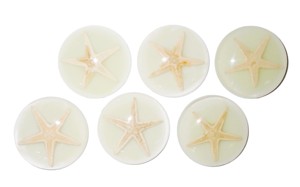 Starfish Real Specimen Plastic Cabochon Round 38x38 mm Glow Flat Bottom for Crafts and Jewelry Making - Product Image 2