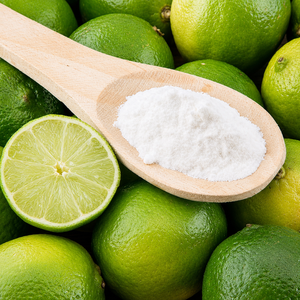 HIGH QUALITY DEHYDRATED LIME POWDER - STABLE SHELF-LIFE GREEN LIME FRUIT INGREDIENTS/ MS ALINA - Product Image 6