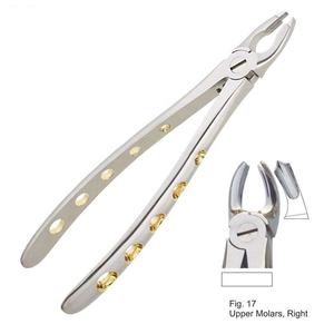 Pince à extraction manuelle réutilisable Instrument dentaire pour molaires supérieures côté droit en acier inoxydable motif anglais - Product Image 2